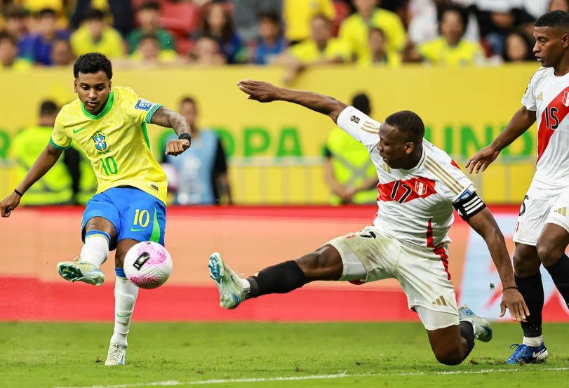 也是对未来 也是对未来