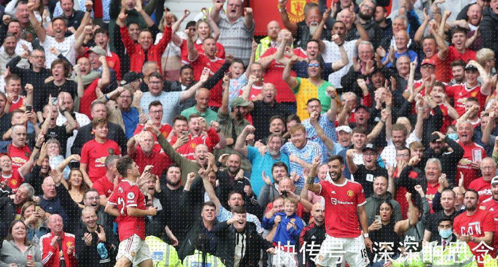 相似的不仅 相似的不仅