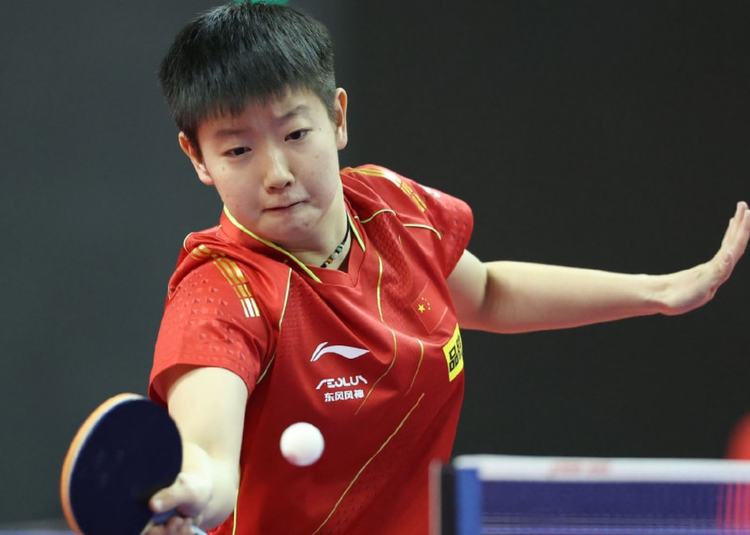 适应与应用 适应与应用